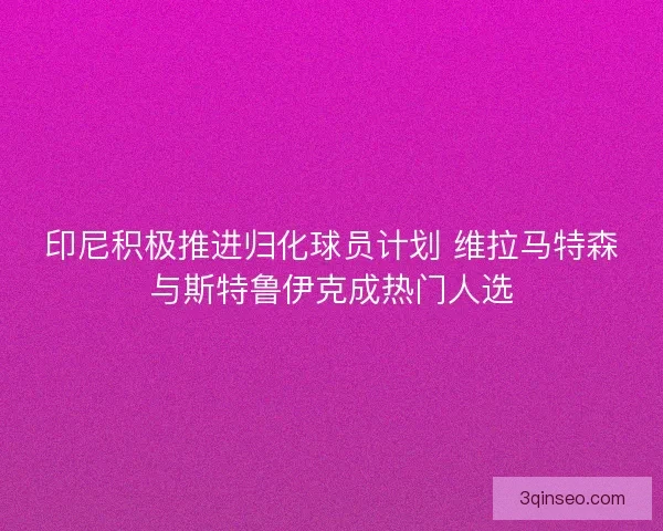 印尼积极推进归化球员计划 维拉马特森与斯特鲁伊克成热门人选